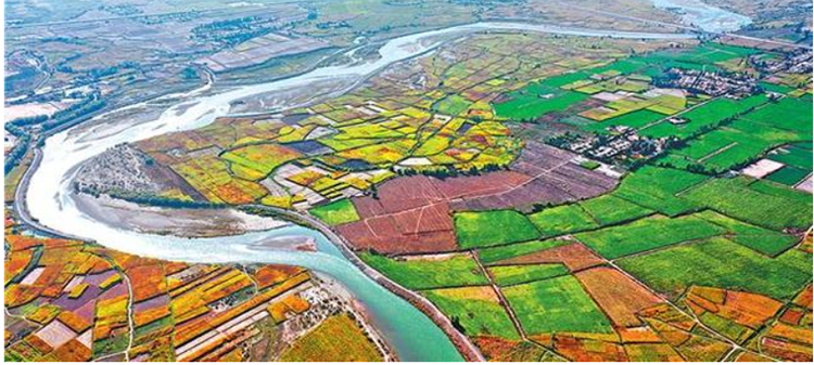 灌區(qū)實景圖 灌區(qū)實景圖