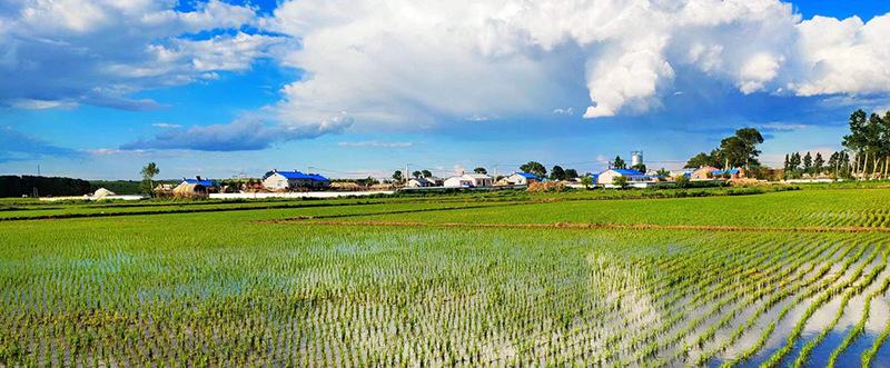 農(nóng)業(yè)田間灌溉