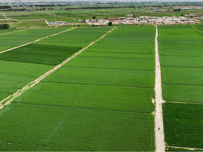 如何選擇一款經(jīng)濟(jì)高效的以電折水設(shè)備？